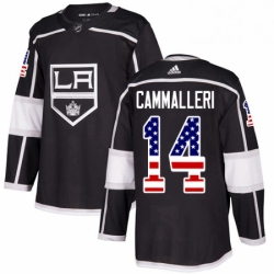 Mens Adidas Los Angeles Kings 14 Mike Cammalleri Authentic Black USA Flag Fashion NHL Jersey 