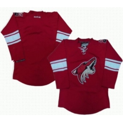 Phoenix Coyotes blank red jerseys