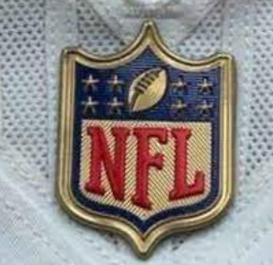 Women Las Vegas Raiders Gold NFL Logo Patch Biaog